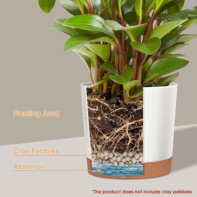 kubvici Plant Pots for Indoor Plants, 2 Pack 12 Inch Pots for Plants, Lightweight Large White Planters for Indoor Plants Outdoor Plants, Big Plastic Plant Pot Flower Pot with Drainage (12” White)