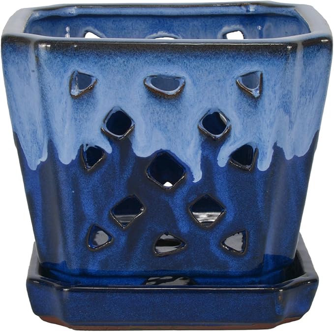 W&W Orchid Pot with Holes and Saucer for Repotting and Better Grow, White and Blue, 7 Inches