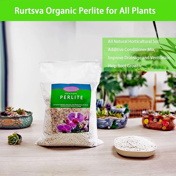 Natural Organic Perlite 2QT for Plants Potting Mix Indoor Outdoor Garden Soil Amendment for Enhanced Drainage, Seed Starter, Root Growth for Succulents, Cactus, Orchids, Money Trees, Vegetables
