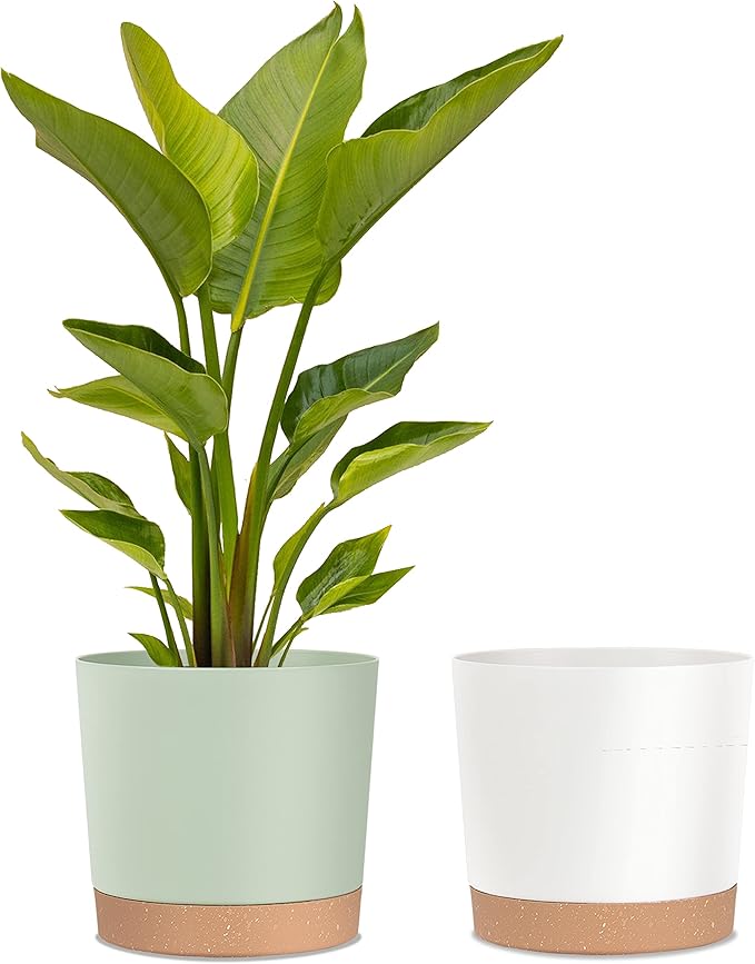 kubvici Plant Pots for Indoor Plants, 2 Pack 12 Inch Pots for Plants, Lightweight Large Planters for Indoor Plants Outdoor Plants, Big Plastic Plant Pot Flowers Pot with Drainage (12” Green & White)