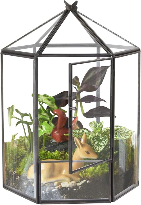 Glass Geometric Plant Terrarium,Succulent & Air Planter for Home Garden Office Decoration,No Plants(Black Hexagonal)