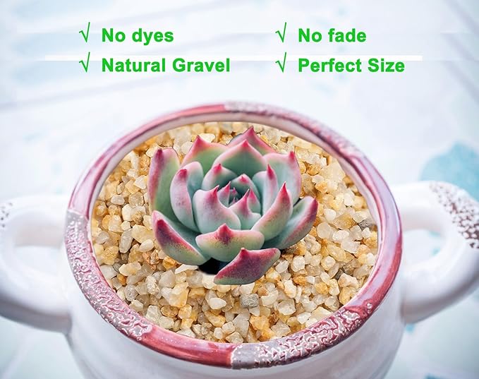 Coarse Golden Sand Stones, Boniosz 2.4lb Succulent and Cactus Bonsai Rocks Small Decorative Pebbles for Terrariums, Fairy Gardening, Top Dressing, and Houseplants