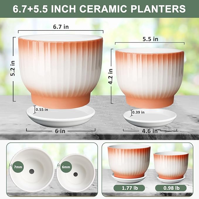 6.7 + 5.5 Inch Plant Pot, Ceramic Planter with Drainage and Saucer, Ceramic Pots for Plants, Indoor Plant pots,Ceramic Flower pots(Orange + White, Plants NOT Included)