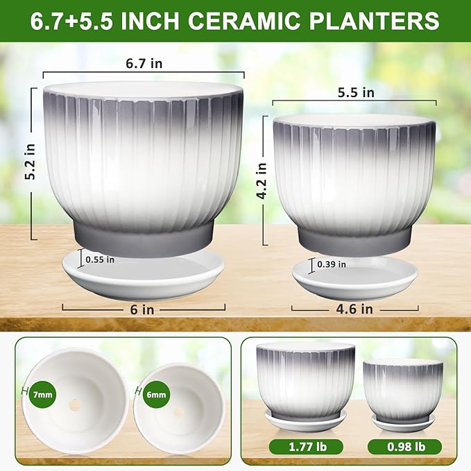 6.7 + 5.5 Inch Plant Pot, Ceramic Planter with Drainage and Saucer, Ceramic Pots for Plants, Indoor Plant pots,Ceramic Flower pots(Gray + White, Plants NOT Included)