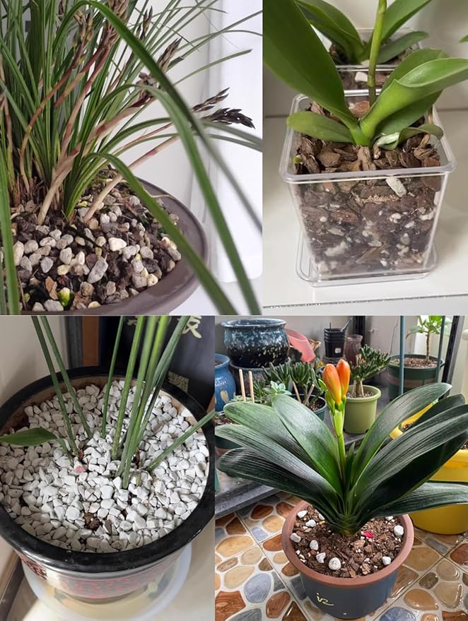 25QT Organic Perlite Horticultural Soil Amendment for Plants and Enhanced Drainage Enhanced