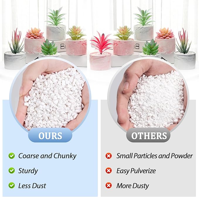 Riare 6 Quarts Organic Perlite for Plants - Horticultural Perlite Soil Amendment for Plants Potting Mix, Natural Chunky Perlite Soil Additive Conditioner Improve Root Growth, Drainage and Ventilation