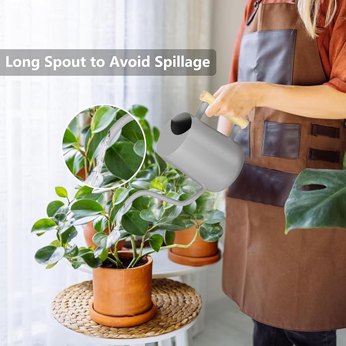 Watering Can Indoor Plants, 35oz Small Watering Can Indoor Stainless Steel Metal Watering Can Modern Decorative Watering Pot with Long Spout for Indoor House Plant Bonsai Garden Flowers (Gray)
