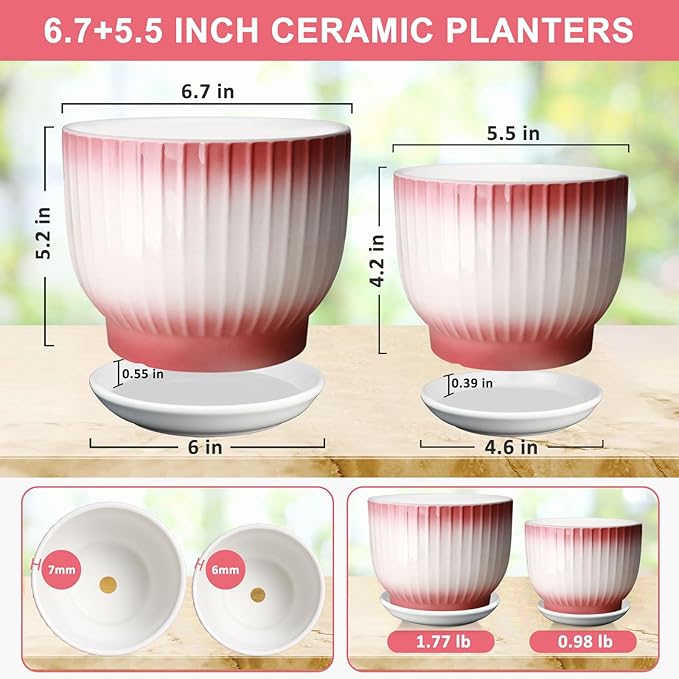 6.7 + 5.5 Inch Plant Pot, Ceramic Planter with Drainage and Saucer, Ceramic Pots for Plants, Indoor Plant pots,Ceramic Flower pots(Pink + White, Plants NOT Included)