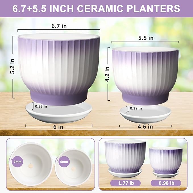 6.7 + 5.5 Inch Plant Pot, Ceramic Planter with Drainage and Saucer, Ceramic Pots for Plants, Indoor Plant pots,Ceramic Flower pots(Purple + White, Plants NOT Included)