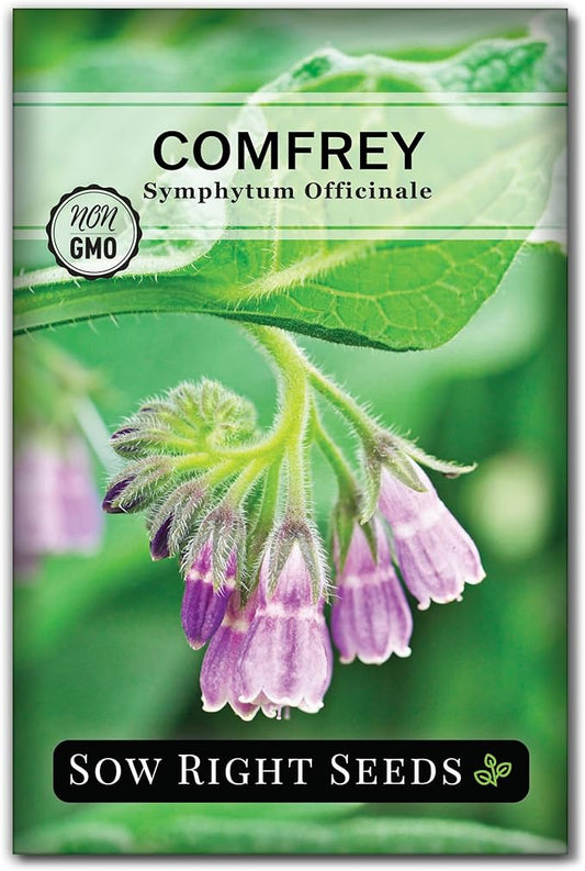 Sow Right Seeds - Comfrey Seeds for Planting - Non-GMO Heirloom Packet with Instructions to Plant an Outdoor or Indoor Herb Garden - Roots & Leaves for Home Remedies - Medicinal Salve, Oil, Tea (1)