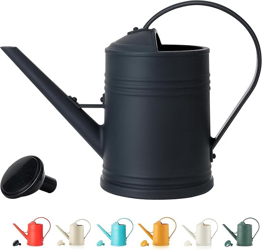 Watering Can for Indoor Plants, Flower Watering Can, Plastic Water Can for Plants, Indoor Watering Can with Sprinkler Head 68 oz, 1/2 Gallons