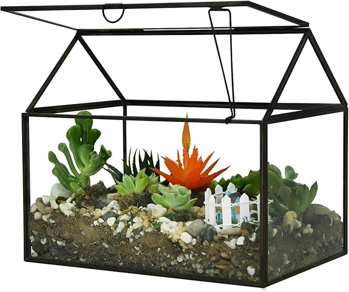 Large Glass Plant Terrarium – House Succulent Glass Terrarium Kit with Lip Glass Greenhouse Terrarium for Plant (Black 1)