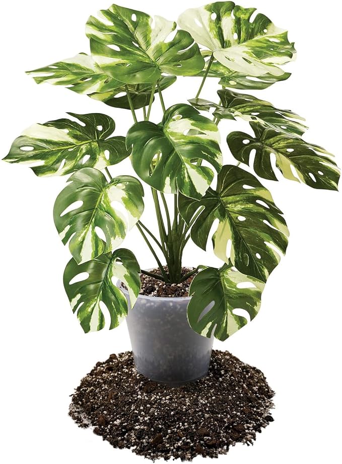 Premium Aroid Potting Mix - 4 Quart - Soil Free Blend for Aroids - Growing Medium for House Plant