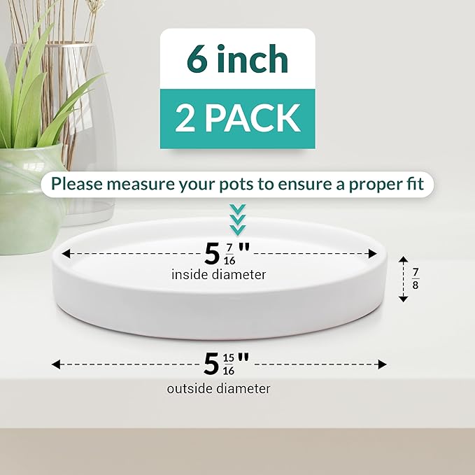 Willowy Matte White Ceramic Pot Saucer - Drainage Tray for 4,5,6 Inch Planters - Two Pack