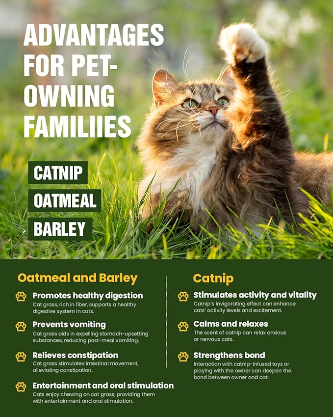 Cat Grass Seeds for Indoor Cats - Plant Catnip and Oat Grass, Heirloom Seed Packet for Indoor Planting Fun