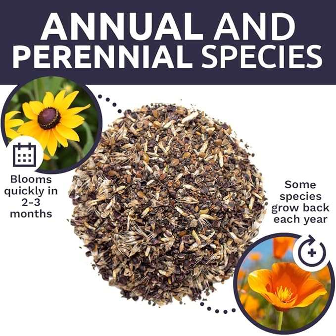 California Wildflower Mixture - Bulk 1/4 Pound Bag - Over 30,000 Native Seeds - Open Pollinated and Non GMO