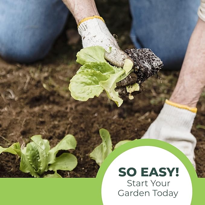 Window Garden Seed Starter Soil Mix - Gardening Starting Soil - Planting Soil for Vegetables, Herbs and Flowers - Ideal Potting Soil, Compressed Discs for Indoor and Outdoor Planting