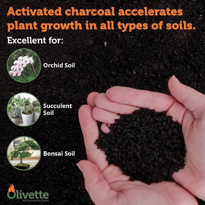 Olivette Horticultural Activated Charcoal for Plants by, Terrarium Horticulture Moisture Absorbers, Terrarium Supplies, USDA Organic Certified 1 Bag