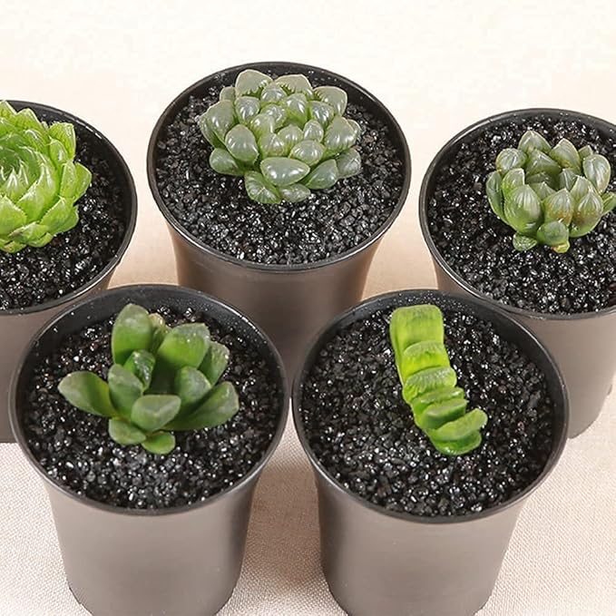 Anothera Stones for Plants Smooth Natural Black River Rocks,7LB Plant Aquarium Gravel Stones for Succulents Bonsai Terrarium Vase Fillers Fish Tank Indoor Outdoor Garden Decor(6-9 mm)