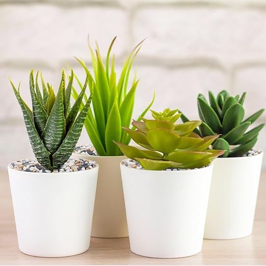 5 lbs Pebbles for Indoor Plants, 1/5 Inch Natural Decorative Gravel for Vases, Aquariums, Terrarium, Fish Tank, Drainage Rocks for Potted Plants, Bamboo, Succulent, Crafts, Cactus