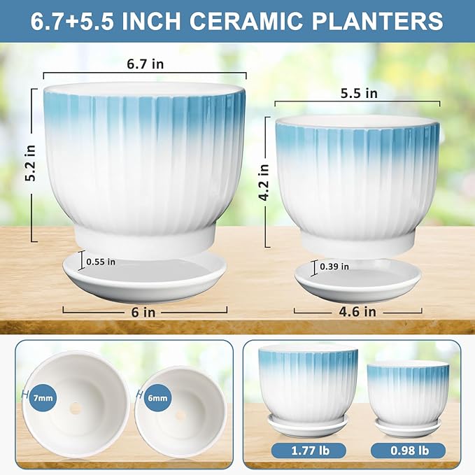 6.7 + 5.5 Inch Plant Pot, Ceramic Planter with Drainage and Saucer, Ceramic Pots for Plants, Indoor Plant pots,Ceramic Flower pots(Blue + White, Plants NOT Included)