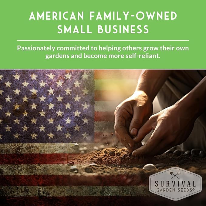 Survival Garden Seeds - Chiba Green Soybean Seed for Planting - 3 Packs with Instructions to Plant and Grow Protein-Rich Edamame Pods in Your Home Vegetable Garden - Non-GMO Heirloom Variety