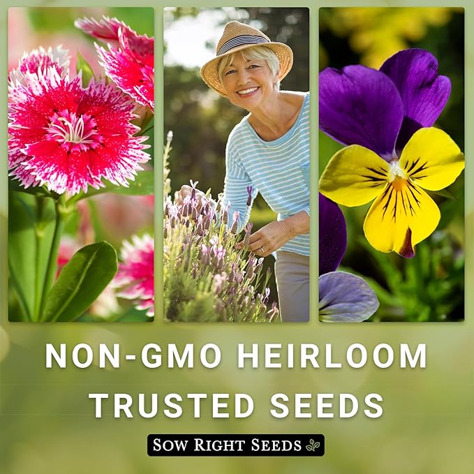 Sow Right Seeds - California Giants Mix Zinnia Seeds for Planting - Non-GMO Heirloom Packet to Grow Your Flower Garden - Attract Bees and Butterflies - Great to Cut and Come Again - Summer Annual (3)