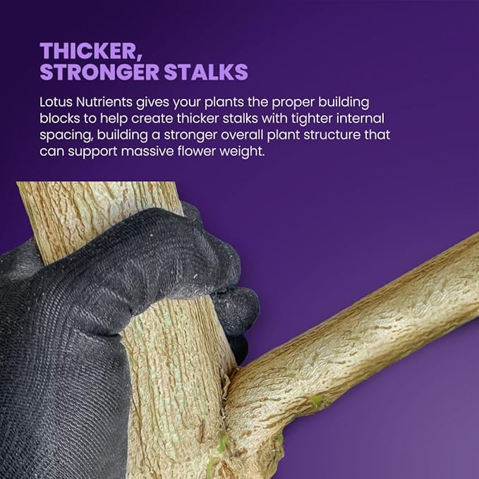 16oz Complete Bloom and Yield Enhancer for Flowering Plants - Naturally Derived Water Soluble Premium Powdered Nutrients Ideal Fertilizer for Soil, Hydroponic, and Coco Coir Indoor and Outdoor Grows