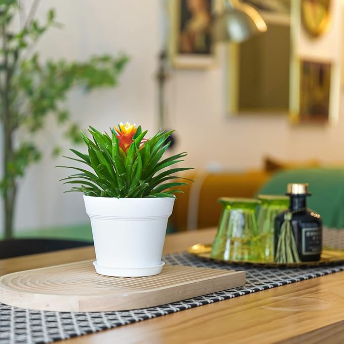 T4U 5 Inch Plastic Planters 18-Pack - Small Plant Pot with Drainage Hole and Saucer, Decorative Nursery Flower Pot Bulk for African Violet, Snake Plant, Aloe and All House Plants Indoor (White)