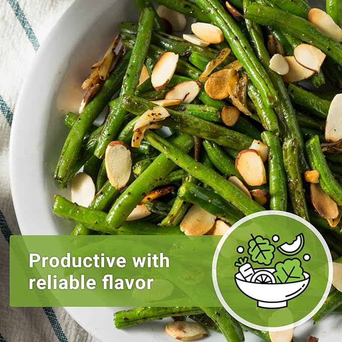 Sow Right Seeds - Contender Bush Green Bean Seeds for Planting - Non-GMO Heirloom Seed Packet - Stringless Variety to Plant an Outdoor Home Vegetable Garden - Abundant Harvest, Great for Kids (2)