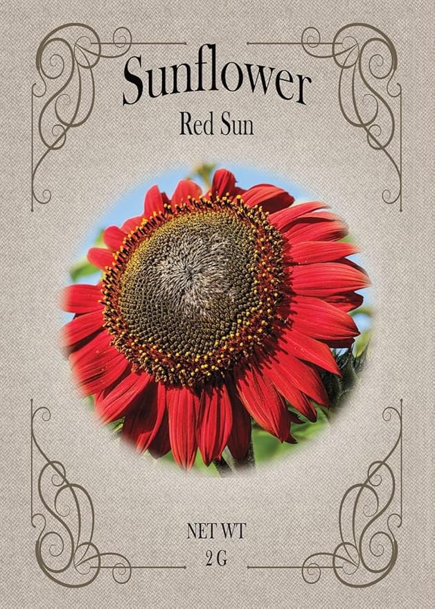 Black Duck Brand Set of Flower Seed Packets! Flower Seeds in Bulk - Great for Creating The Garden of Your Dreams! (25, Red Sun Sunflower)