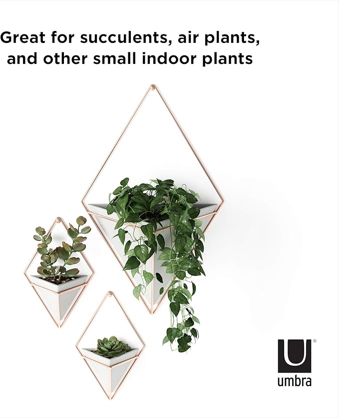 Umbra Trigg Hanging Planter Vase & Geometric Wall Decor Containers-for Succulents, Air, Mini Cactus, Faux Plants and More, Large, Concrete/Copper (Pack of 4)