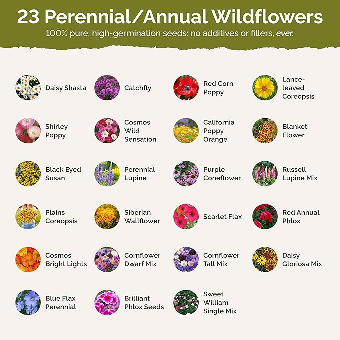 Eden Brothers Vermont Wildflower Mixed Seeds for Planting, 1 oz, 30,000+ Seeds with Cosmos, Cornflower | Attracts Pollinators, Plant in Spring or Fall, Zones