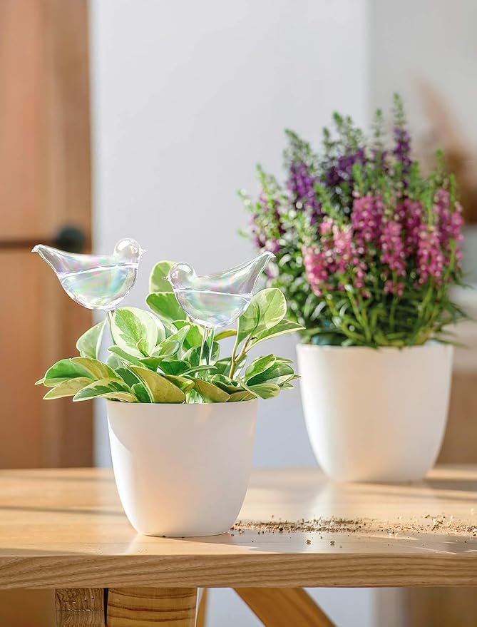 Mkono Plant Self Watering Globes Glass Water Bulbs for Planter Insert, Bird Shape Self Watering Devices Automatic Plant Waterer Spikes for Indoor Outdoor Plants, Gifts for Plant Lovers, 1 Pack