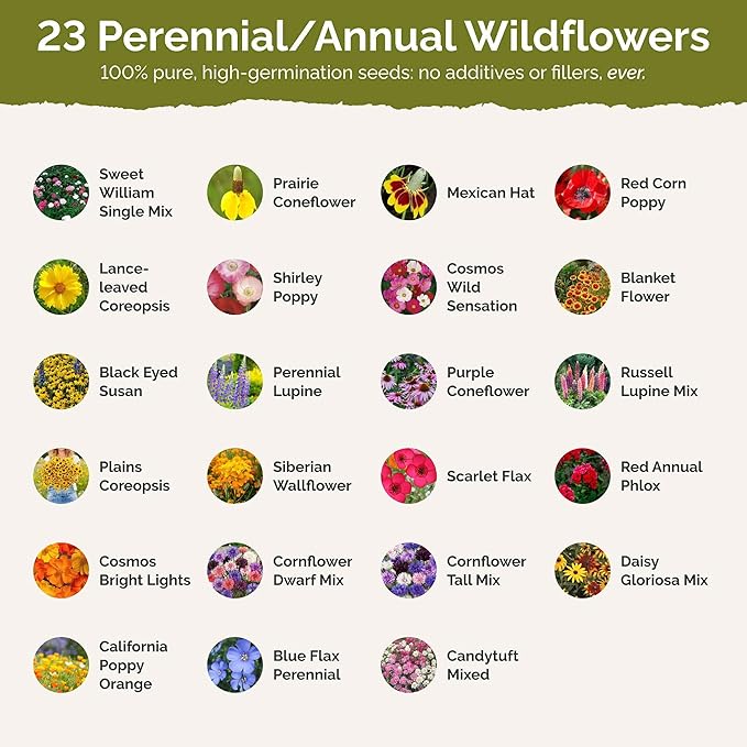 Eden Brothers Illinois Wildflower Mixed Seeds for Planting, 1 lb, 480,000+ Seeds with Cosmos, Blanket Flower | Attracts Pollinators, Plant in Spring or Fall, Zones