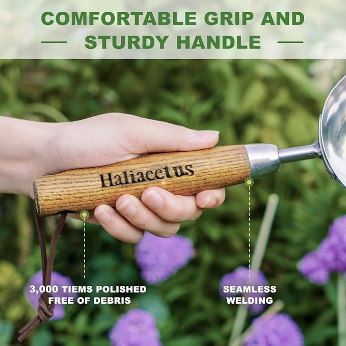Haliaeetus Potting Soil Scoop, Bend-Proof Stainless Steel Garden Scoop, 1 Cup Big Volume Garden Hand Shovel, Comfortable Wood Handle Dirt Trowel for Transplanting, Cultivation, Composting and Planting