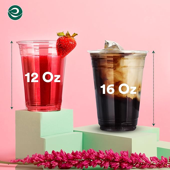 ECO SOUL 100% Compostable, Disposable Party Cups | Eco-friendly Party Cups | (100 Count, 16 oz Cold Cups)