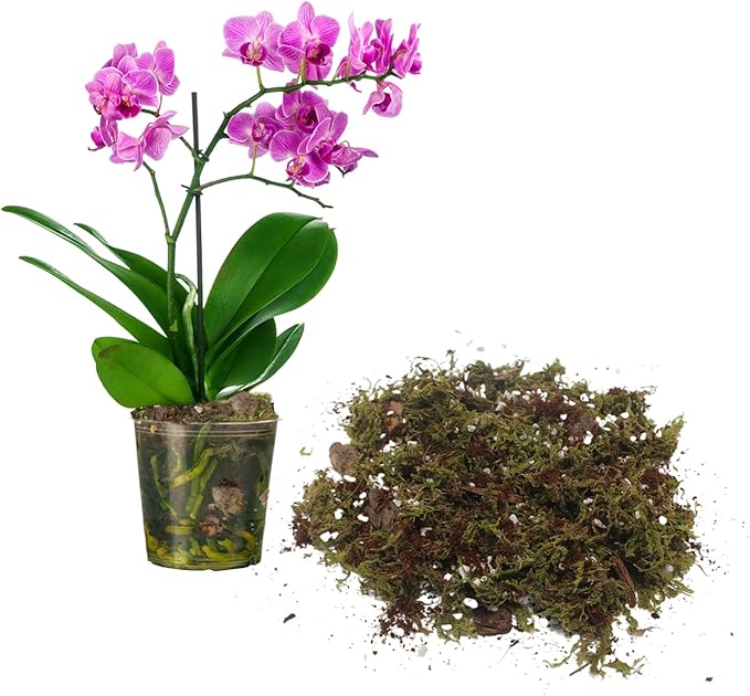 6QT Orchid Potting Mix with Moss Pine Bark Mulch Perlite & Coco Peat Natural Ingredients, Orchid Repotting Soil Medium Great for Indoor Plant Root Climbing & Expanding