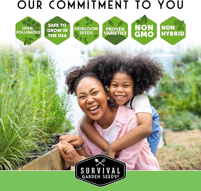 Mexican Chia Seed for Planting - 3 Packets with Instructions to Plant and Grow Mexican Chia in Your Home Vegetable Garden - Non-GMO Heirloom Variety - Survival Garden Seeds