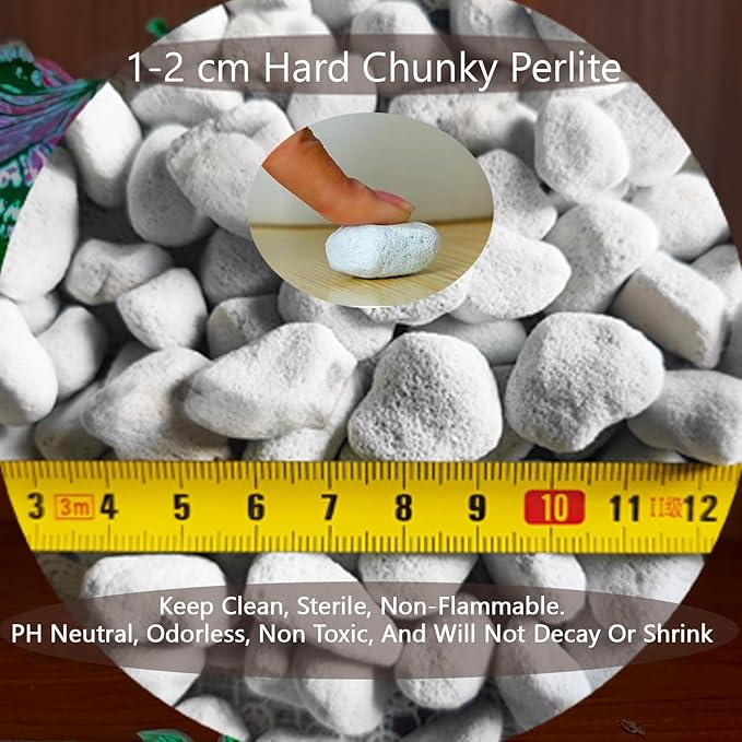Natural 1-2CM Hard Chunky Perlite 5QT for Plants Horticultural Coarse Organic Pearlite Bulk Potting Mix Garden Soil Amendment for Enhanced Drainage and Ventilation for Orchid, Dendrobium, Araceae