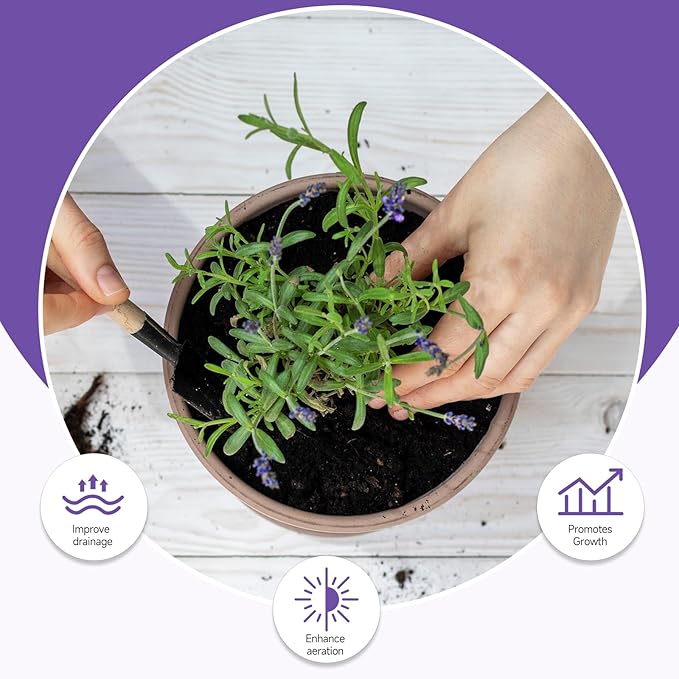 Premium Lavender Potting Mix 4qt, Promotes Lavender Blossoming, Perfect for Indoor and Outdoor Gardening