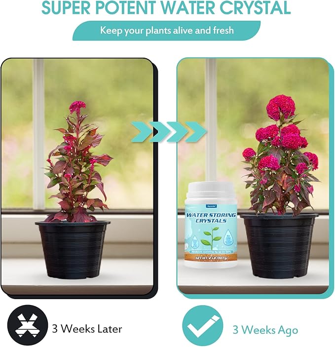 2LB Water Storing Crystals for Plants with Spoon, Water Gel Solves Plant Over-Watering and Drought Problems, Keeps The Soil Moist, Small Water Storing Polymer Crystals for Plants Candle - by Oycevila
