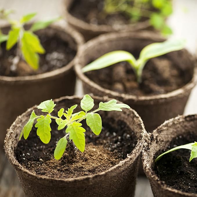 Peat Moss 2qt, Added to Soil and Enriches Plant Roots, Gardening Soil Amendment and Carnivorous Plant Soil Media