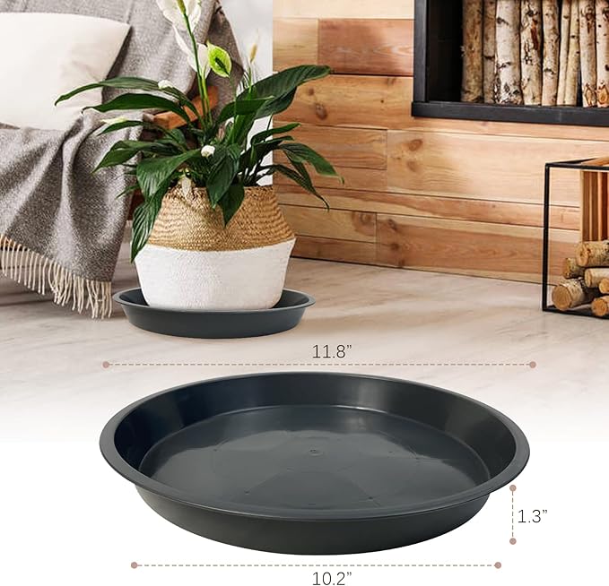6 Pack Plant Saucer 4 6 8 10 12 14 16 18 20 22 Inch Plastic Plant Tray, Sturdy and Durable Flower Pot Container Accessories Plant Pot Saucers for Indoor and Outdoor (12 Inch, Gray)