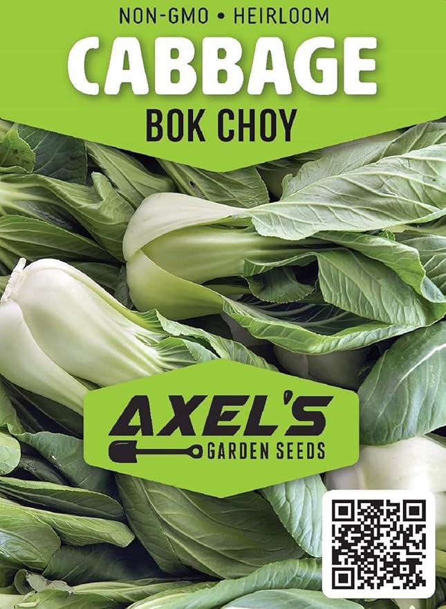 Cabbage Seeds for Planting – Non-GMO Heirloom Vegetable Seeds – Full Instruction Packets to Plant in Your Home Outdoor Garden – Gardening Gift – 200 Bok Choy Cabbage Seeds Per Pack (2 Packets)