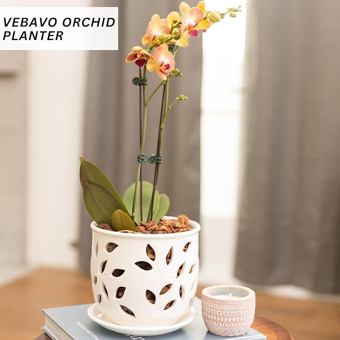 Orchid Pot with Holes & Saucer Ceramic 5.25 in. Indoor or Outdoor Large Pot for Orchid Care & Root Health with Precise Aeration & Drainage – Durable for Repotting or New Plants