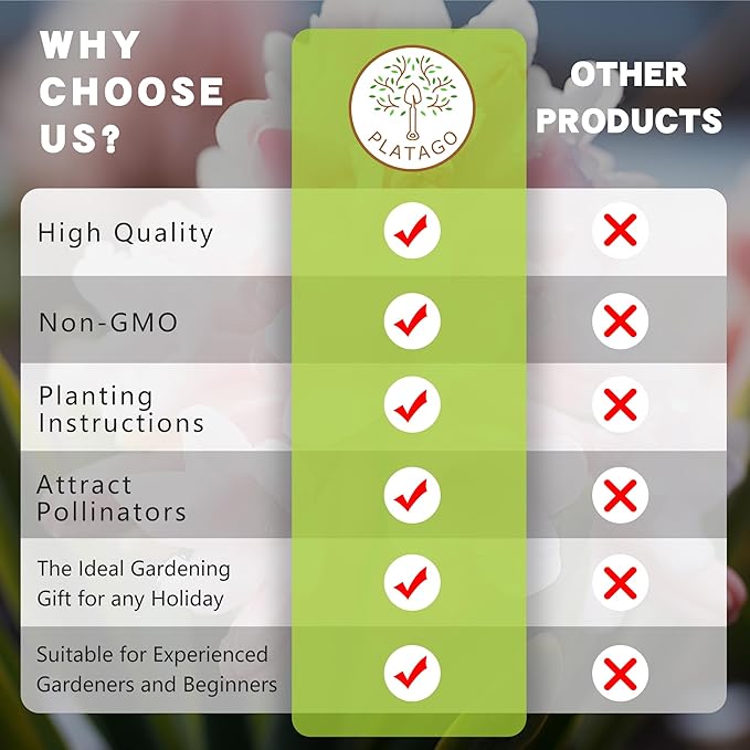 Tuberose Seeds for Planting, Pack of 50 Pink Tuberose Flower Seeds for Planting