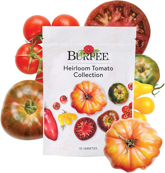 Burpee Favorites 10 Packets of Non-GMO Tomato Planting Heirloom Seeds Garden Gifts