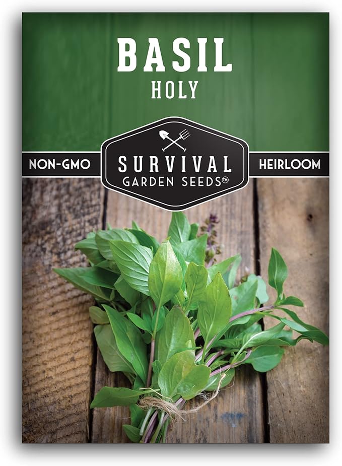 Survival Garden Seeds - Holy Basil Seed for Planting - Packet with Instructions to Plant and Grow The Indian Sacred Herb Tulsi in Your Home Vegetable Garden - Non-GMO Heirloom Variety - Indian Herb