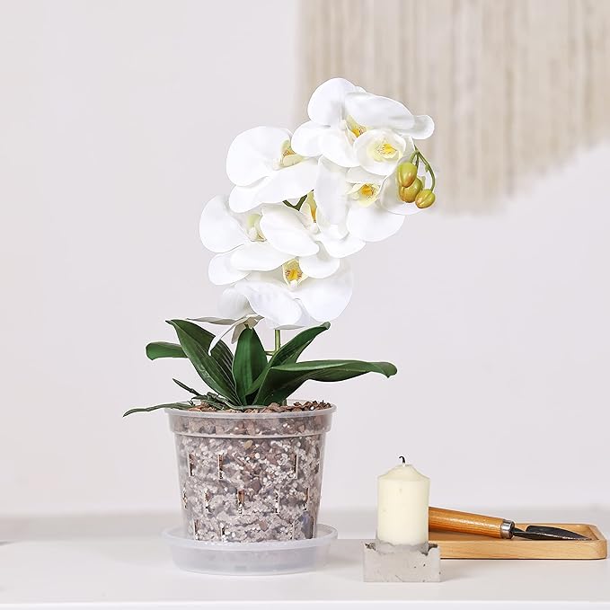 TRUEDAYS 6 Pack Orchid Pot with Saucers, 6 Inch Clear Orchid Pots with Holes, Plastic Planter with Trays, Breathable Slotted Orchids Planters for Indoor Outdoor Plants